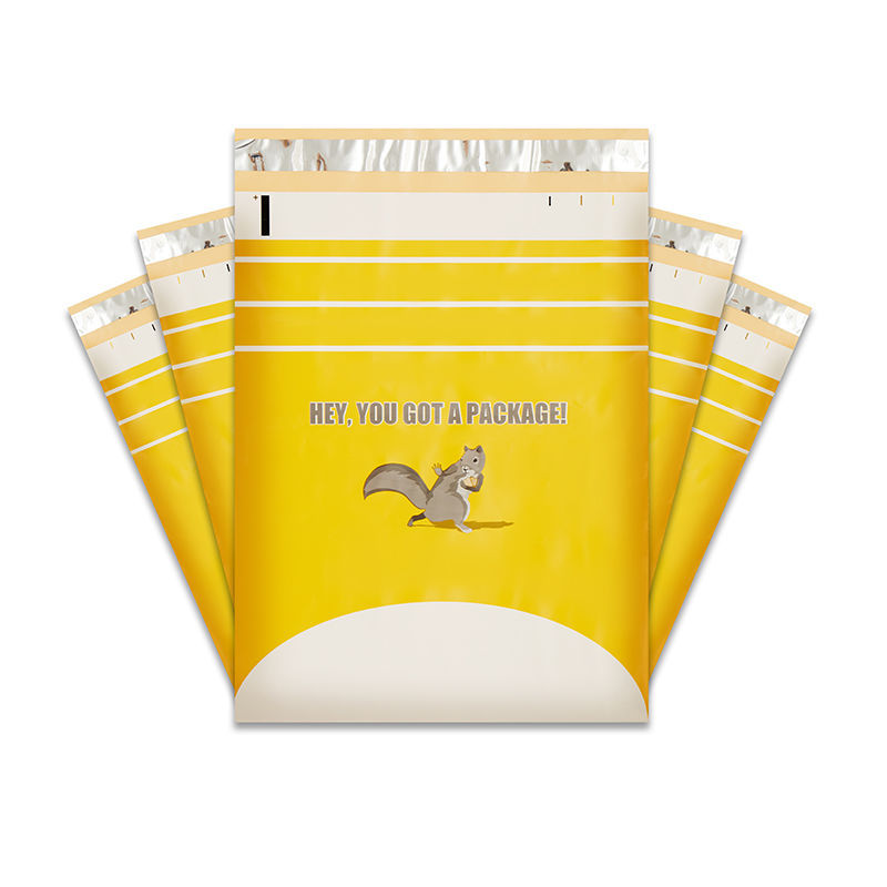 Custom Plastic Mailing Bags Printed Poly Mailer Apparel Shipping Courier Bag for Clothing